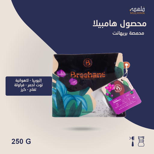 إثيوبيا هامبيلا - بريهانت (250g) 